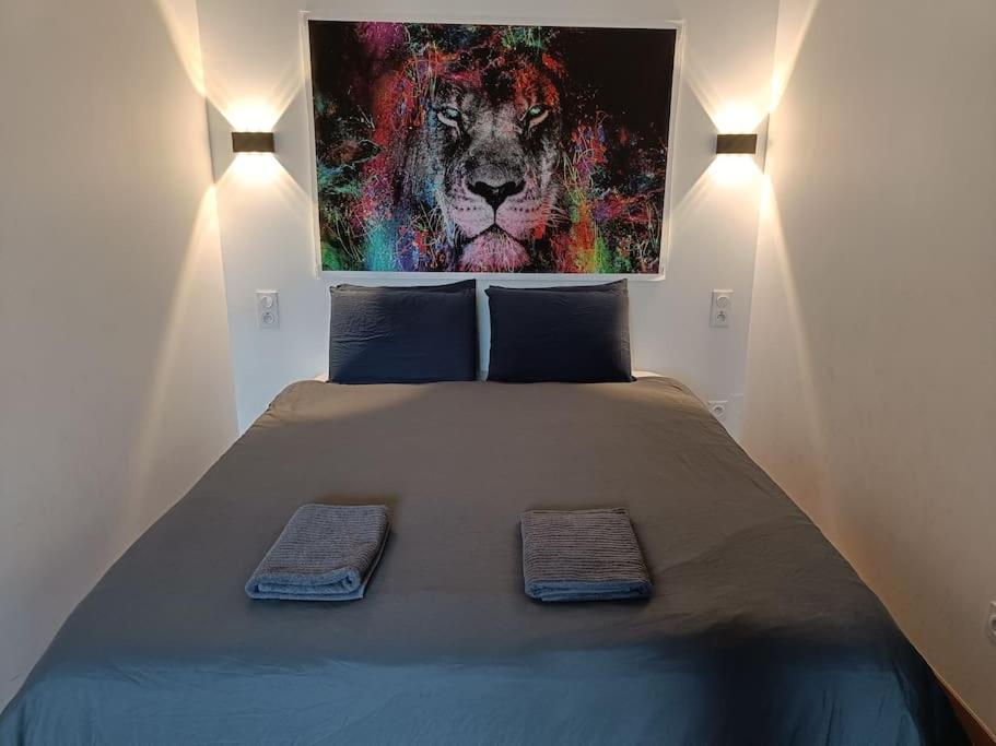 Appartement Confort Equipe Au Coeur De Béziers Exterior foto